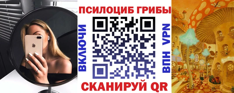 kraken как зайти  Реутов  Псилоцибиновые грибы Psilocybine cubensis  где купить наркоту 