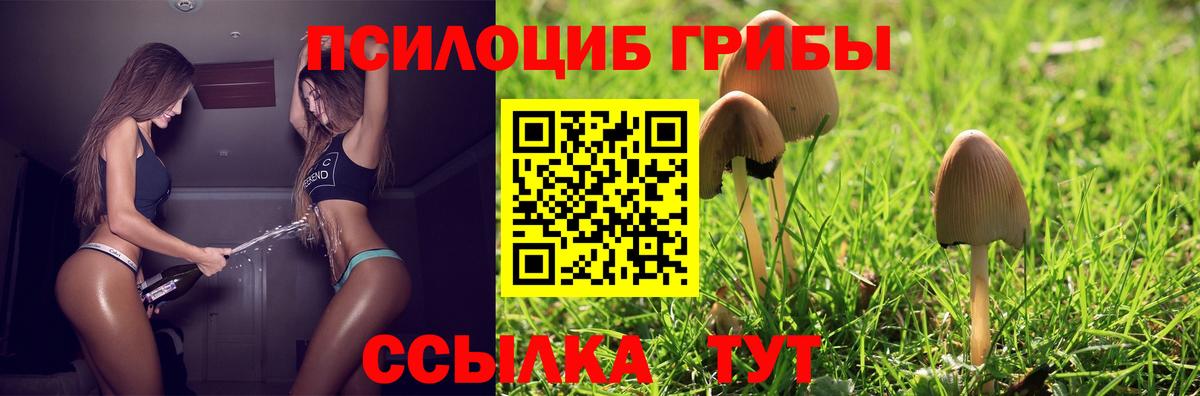 Галлюциногенные грибы мухоморы Реутов